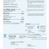 editable template, USA Con Edison electricity utility bill template in Word and PDF format