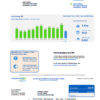 editable template, USA Michigan Consumers Energy utility bill template in Word and PDF format