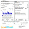 editable template, USA Pennsylvania Duquesne light utility bill template in Word and PDF format