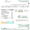 editable template, USA Massachusetts Energy Plus electricity utility bill template in Word and PDF format