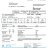 editable template, USA Florida Power & Light Company (FPL) electricity utility bill template in Word and PDF format