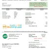 editable template, USA Ohio Farmer's Electric Cooperative utility bill template in Word an PDF format