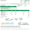 editable template, USA Ohio Farmers Electric Cooperative utility bill template in Word and PDF format (version 2)