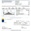 editable template, USA Las Vegas Valley Water District (LVVWD) utility bill template in Word and PDF format