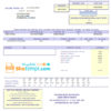 editable template, USA Marblehead Municipal Light Department utility bill template in Word and PDF format