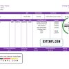 editable template, USA OR pay stub template in Excel an PDF format