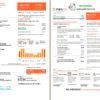 editable template, USA New Jersey PSEG electricity utility bill template in Word and PDF format, 2 pages