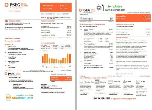 editable template, USA New Jersey PSEG electricity utility bill template in Word and PDF format, 2 pages
