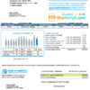 editable template, USA Texas Power of Community electricity utility bill in Word and PDF format, good for address prove