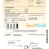 editable template, USA Southern California Edison utility bill template in Word and PDF format