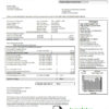 editable template, USA Connecticut The United Illuminating Company electricity utility bill template in Word and PDF format