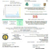 editable template, USA Massachusetts Town of Rowley Municipal Lighting Plant electricity utility bill template in Word and PDF format