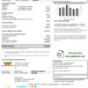 editable template, USA Nevada Waterloo North Hydro utility bill template in Word and PDF format