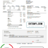 editable template, USA ADP Earnings statement template in Word and PDF format