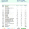 editable template, Argentina Banco Patagonia bank statement template in Word and PDF format
