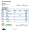 editable template, Argentina Banco Macro S.A. bank statement template in Word and PDF format