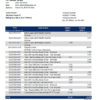 editable template, Botswana Bank Gaborone bank statement template in Excel and PDF format, fully editable