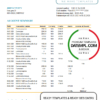 editable template, Norway Luster Sparebank bank statement easy to fill template in Excel and PDF format
