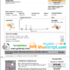 editable template, Singapore Pacific Light electricity utility bill template in Word and PDF format