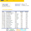 editable template, # blue shine universal multipurpose bank statement template in Word format
