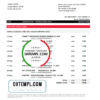 editable template, Serbia Societe Generale bank statement easy to fill template in .xls and .pdf format
