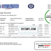 editable template, Nepal Bank Nepal statement template in Word and PDF format