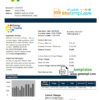 editable template, Chile Energy Capital utility bill template in Word and PDF format