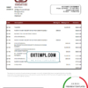 editable template, Sudan National Bank of Sudan bank statement easy to fill template in Excel and PDF format