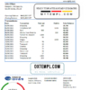 editable template, South Korea Daegu bank statement easy to fill template in Excel and PDF format