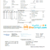 editable template, USA Columbia Gas of Ohio utility bill template in Word and PDF format