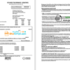 editable template, United Kingdom Hull City Council utility bill template in Word and PDF format, 2 pages