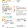editable template, # electric swell universal multipurpose utility bill template in Word format