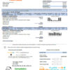 editable template, # first fine universal multipurpose utility bill template in Word format