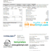editable template, USA Florida Public Utilities utility bill template in Word and PDF format