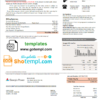 editable template, USA Georgia Power utility new brand bill template in Word and PDF format, fully editable