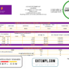editable template, Nigeria Polaris Bank statement easy to fill template in Excel and PDF format