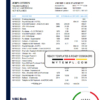 editable template, Netherlands NIBC Bank statement easy to fill template in .xls and .pdf file format