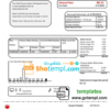 editable template, USA Arizona City of Phoenix utility bill template in Word and PDF format