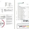 editable template, United Kingdom Lloyds bank statement template in Excel and PDF format (2 pages)