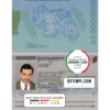 editable template, Ireland passport template in PSD format, fully editable, with all fonts