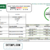 editable template, Turkey Sekerbank Bank statement easy to fill template in Excel and PDF format