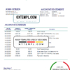 editable template, Netherlands Triodos Bank statement easy to fill template in Word and PDF format
