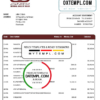 editable template, Sudan National Bank of Sudan bank statement template in Word and PDF format