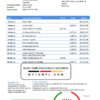 editable template, Tajikistan The First MicroFinance (FMFB) Bank statement template in .xls and .pdf file format