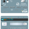editable template, # king lamp universal multipurpose bank visa credit card template in PSD format, fully editable