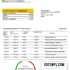 editable template, Sri Lanka Bank of Ceylon bank statement template in Word and PDF format, good for address prove