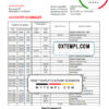 editable template, Norway Bank Norwegian AS bank statement easy to fill template in .xls and .pdf file format