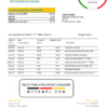 editable template, Nepal Kumari Bank statement template in Excel and PDF format