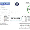 editable template, Nepal Bank Nepal bank statement easy to fill template in Excel and PDF format