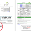 editable template, Malaysia Packet 1 Network bank statement template in Excel and PDF format (3 pages)